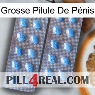 Grosse Pilule De Pénis viagra4